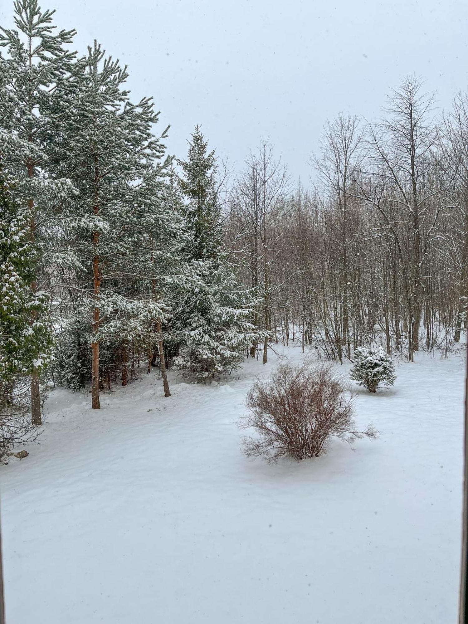 Slnecny 2-Izbovy Apartman Pod Lesom, Dolny Smokovec Vysoké Tatry Dış mekan fotoğraf